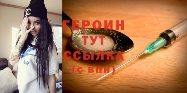 индика Сатка
