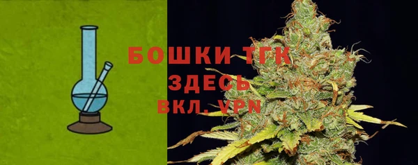 индика Баксан