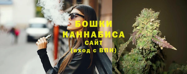 индика Баксан