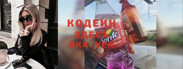 индика Баксан