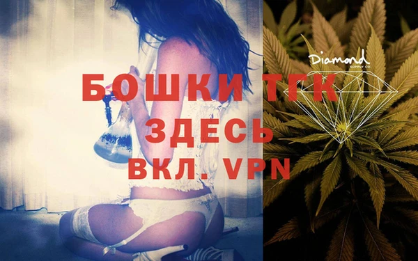 гидра Балахна