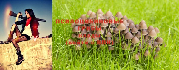 индика Баксан