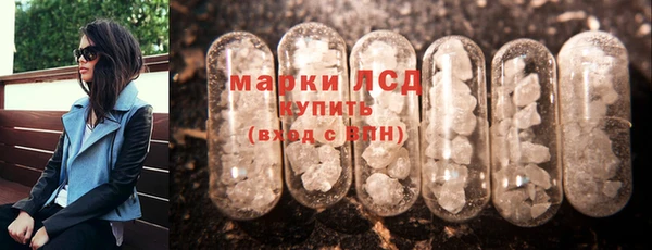 индика Баксан