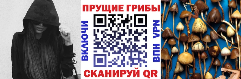 Галлюциногенные грибы мицелий дарнет шоп Новодвинск